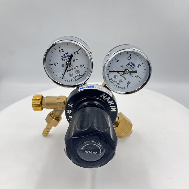 YQQ-09氫氣減壓器0.4-25.jpg