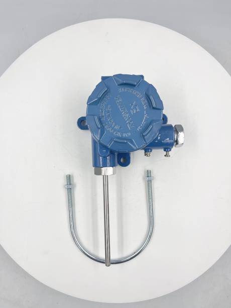 防爆掛壁式溫度變送器.jpg