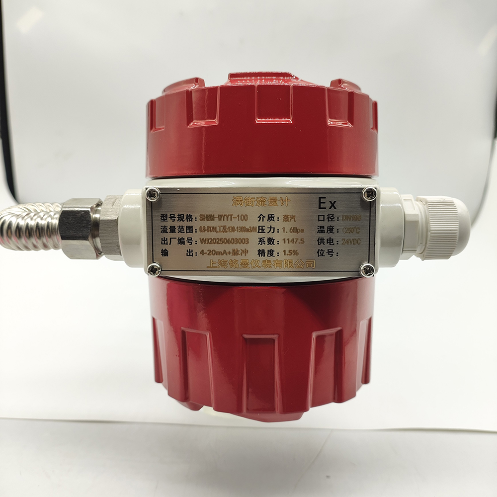 上海銘曼渦街流量計，溫壓一體，DN100（2）.jpg