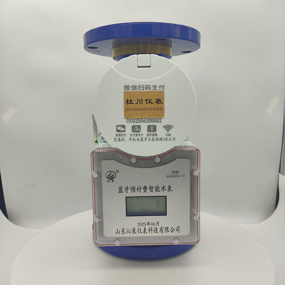 沁泉藍牙預付費智能水表，DN65，水平冷水.jpg
