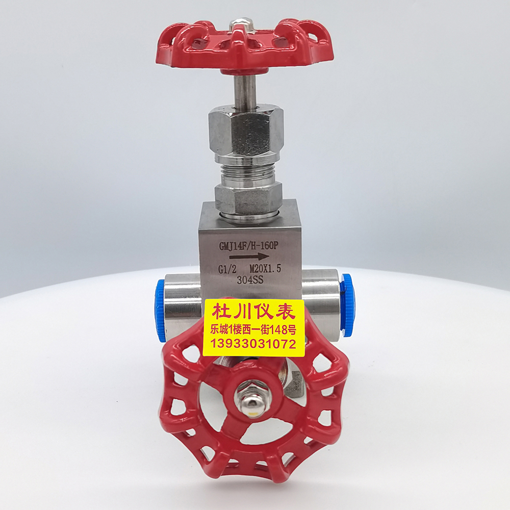 針型閥GMJ14F.H-160P，G二分之一，M20x1.5，304SS.jpg
